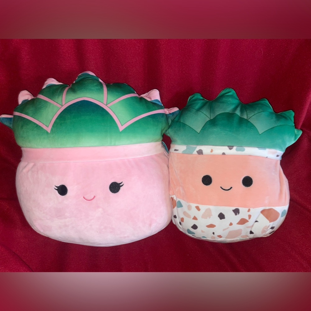 Squishmallow Succulents Afiyah 14” NWT & Abena 12” NWOT Bundle